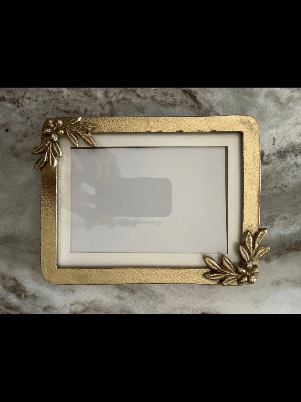 World Market Gold Frame with Leaf Embellishments